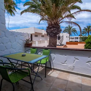 https://apt-the-great-palm.in-canary-islands.com